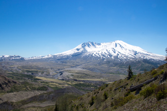 Enlarge photo 497