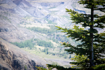 Enlarge photo 499