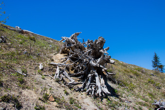 Enlarge photo 503
