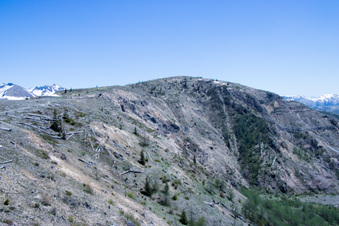 Enlarge photo 505