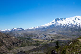 Enlarge photo 506