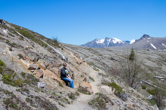 Enlarge photo 508