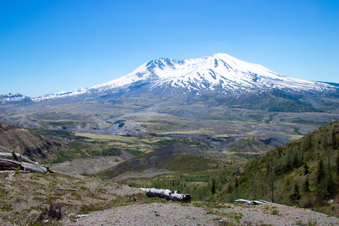 Enlarge photo 509
