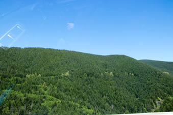 Enlarge photo 511