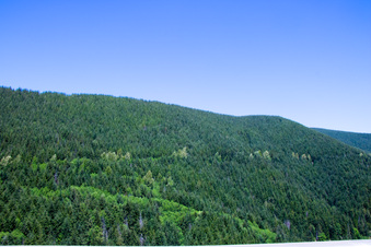 Enlarge photo 512