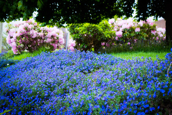 Enlarge photo 521