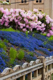 Enlarge photo 529