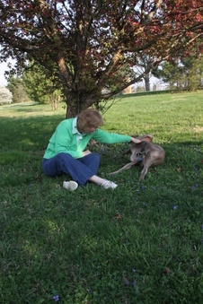 Enlarge photo 39