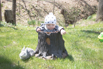 Enlarge photo 15