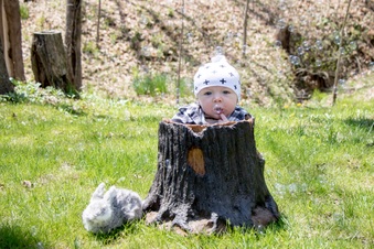 Enlarge photo 19