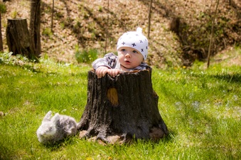 Enlarge photo 20
