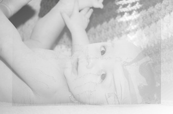 Enlarge photo 253