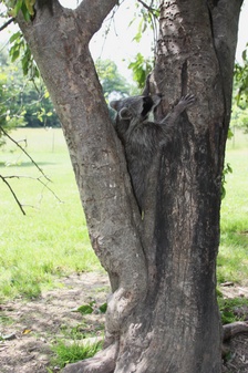 Enlarge photo 49
