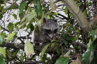 Enlarge photo 33