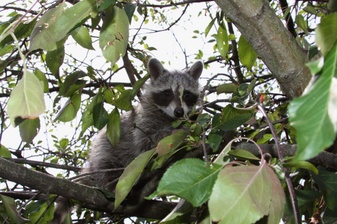 Enlarge photo 29