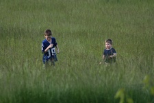 Enlarge photo 24