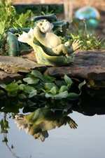 Enlarge photo 9