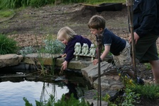 Enlarge photo 10