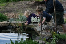 Enlarge photo 7