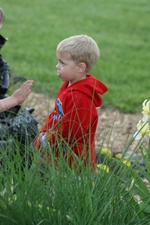 Enlarge photo 8