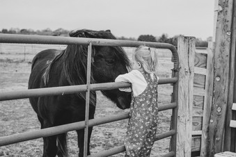 Enlarge photo 40