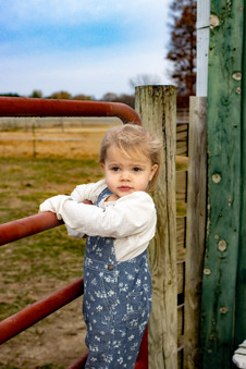 Enlarge photo 42