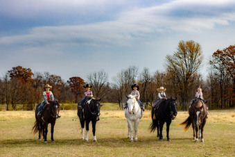 Enlarge photo 113