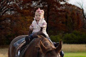 Enlarge photo 120