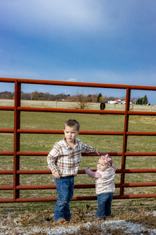 Enlarge photo 184