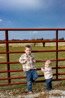 Enlarge photo 185