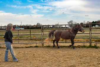 Enlarge photo 249