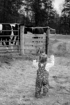 Enlarge photo 301