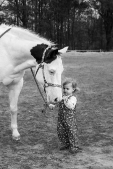 Enlarge photo 308