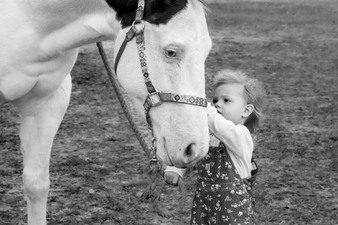 Enlarge photo 310