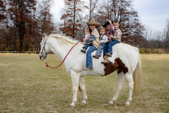 Enlarge photo 316