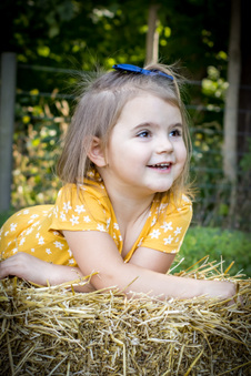 Enlarge photo 56