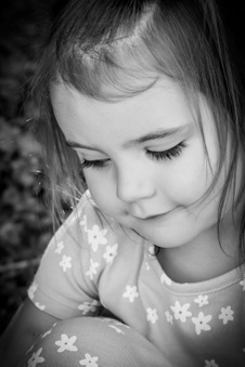 Enlarge photo 62