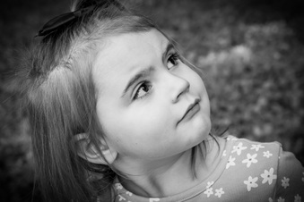 Enlarge photo 65