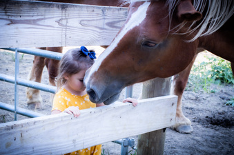 Enlarge photo 168