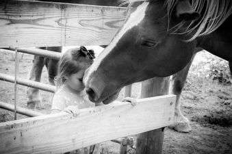 Enlarge photo 169