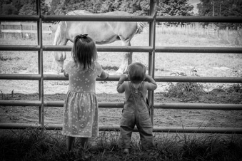 Enlarge photo 174