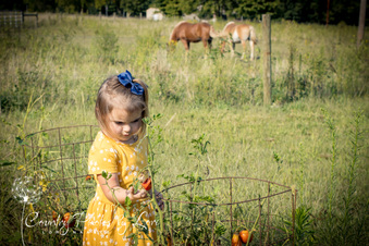 Enlarge photo 202