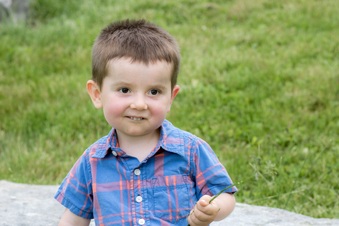 Enlarge photo 68