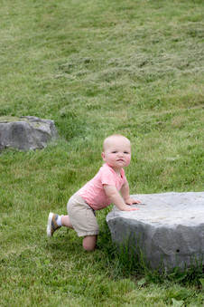Enlarge photo 97