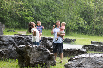 Enlarge photo 156