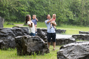 Enlarge photo 157