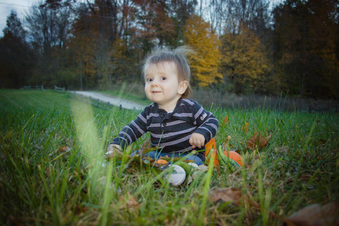 Enlarge photo 316