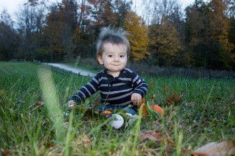 Enlarge photo 317