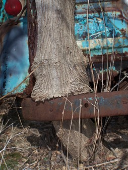 Enlarge photo 5