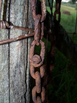 Enlarge photo 9